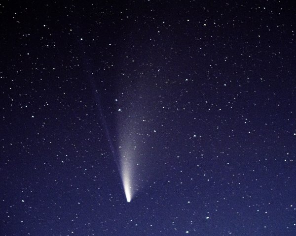 Wielka kometa nad Narwią